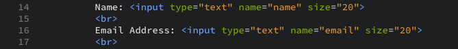 The input tags for user's name and email address as displayed in the editor view.