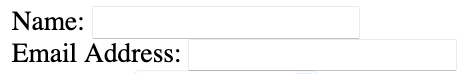 The input boxes for name and email as displayed in the browser view.