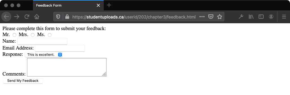 The complete feedback form as displayed in the browser view.