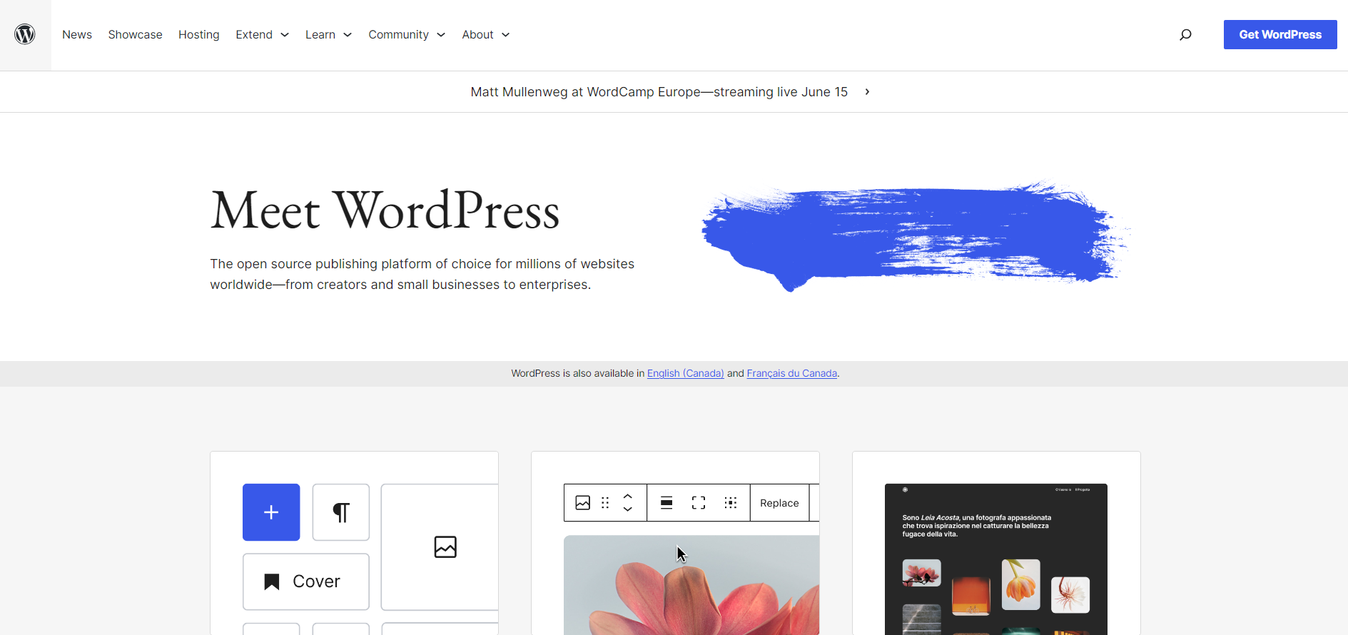 WordPress self-hosted website interface.